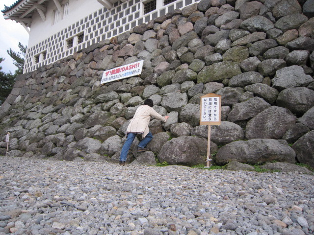 僕も石垣に登ってやる！！.JPG