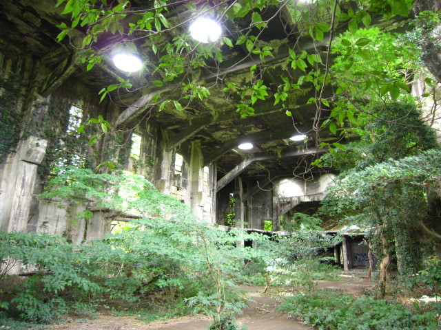 光と緑の美しい廃墟.JPG
